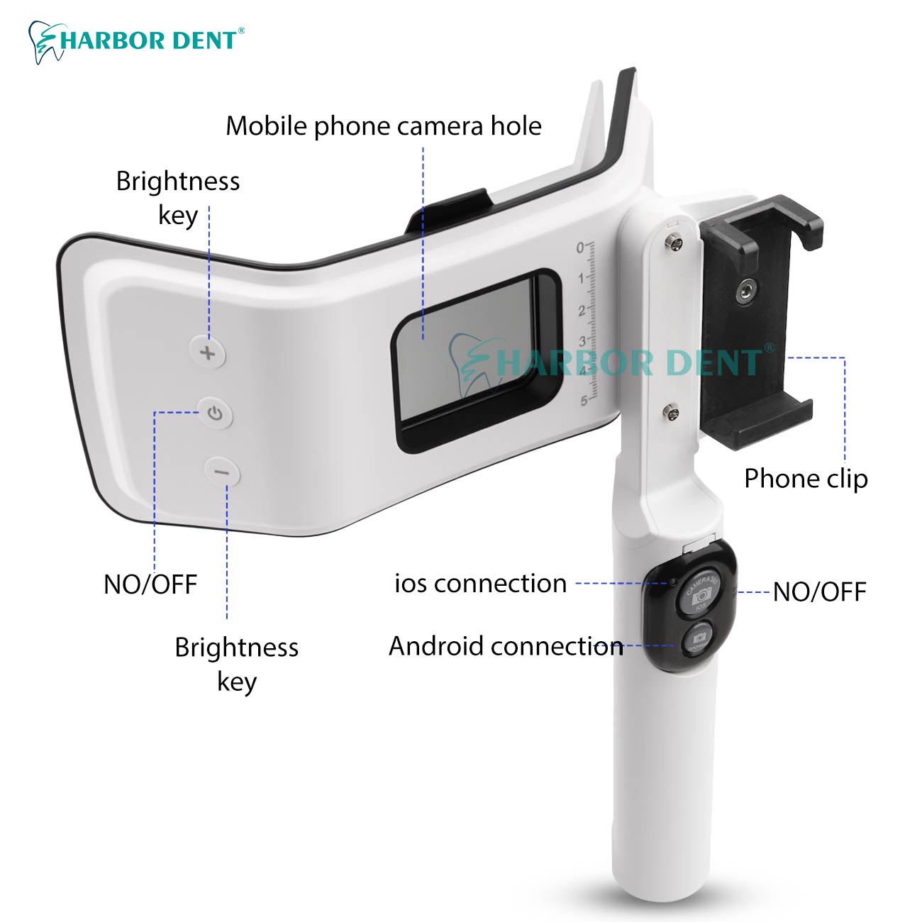お手頃価格の歯科写真撮影用ツインフラッシュキット、明るさ調整 - Good Lighting In Photography のレビューと価格